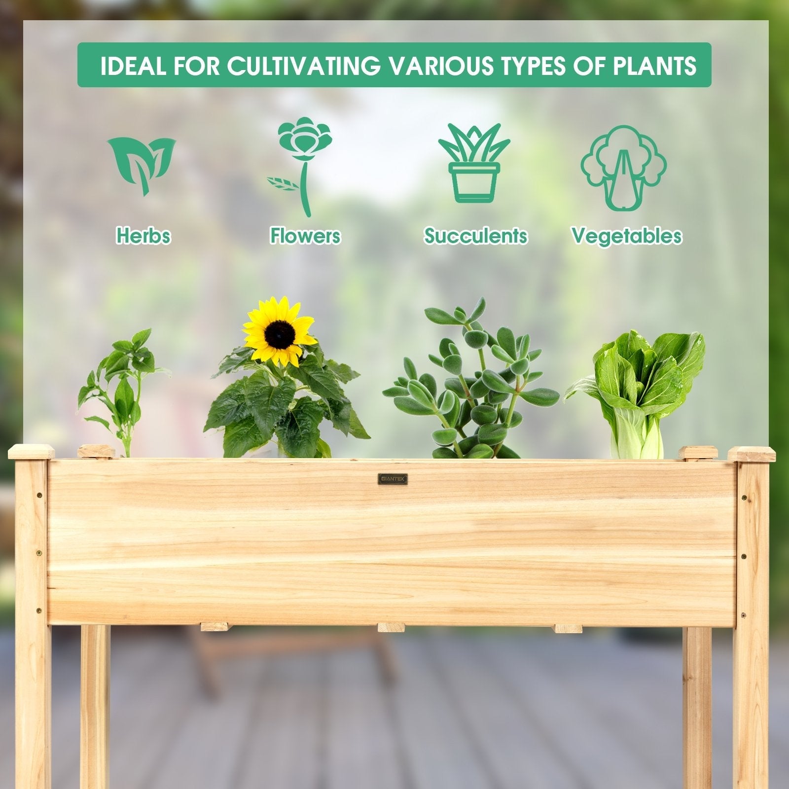 Wooden Raised Vegetable Garden Bed Elevated Grow Vegetable Planter-Gray
