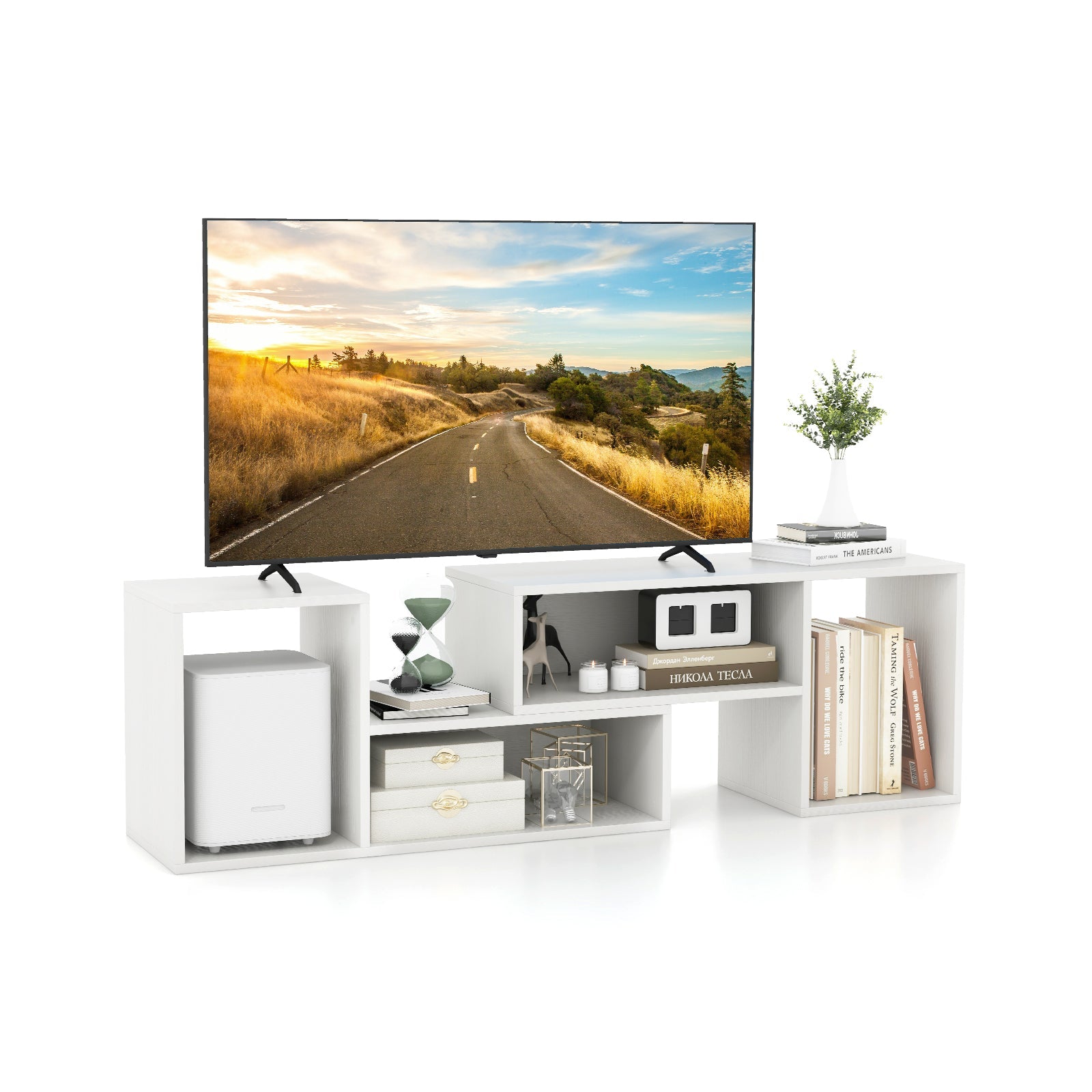 2 Pieces Adjustable TV Stand for TVs up to 55 Inch with Storage Cubes-Black