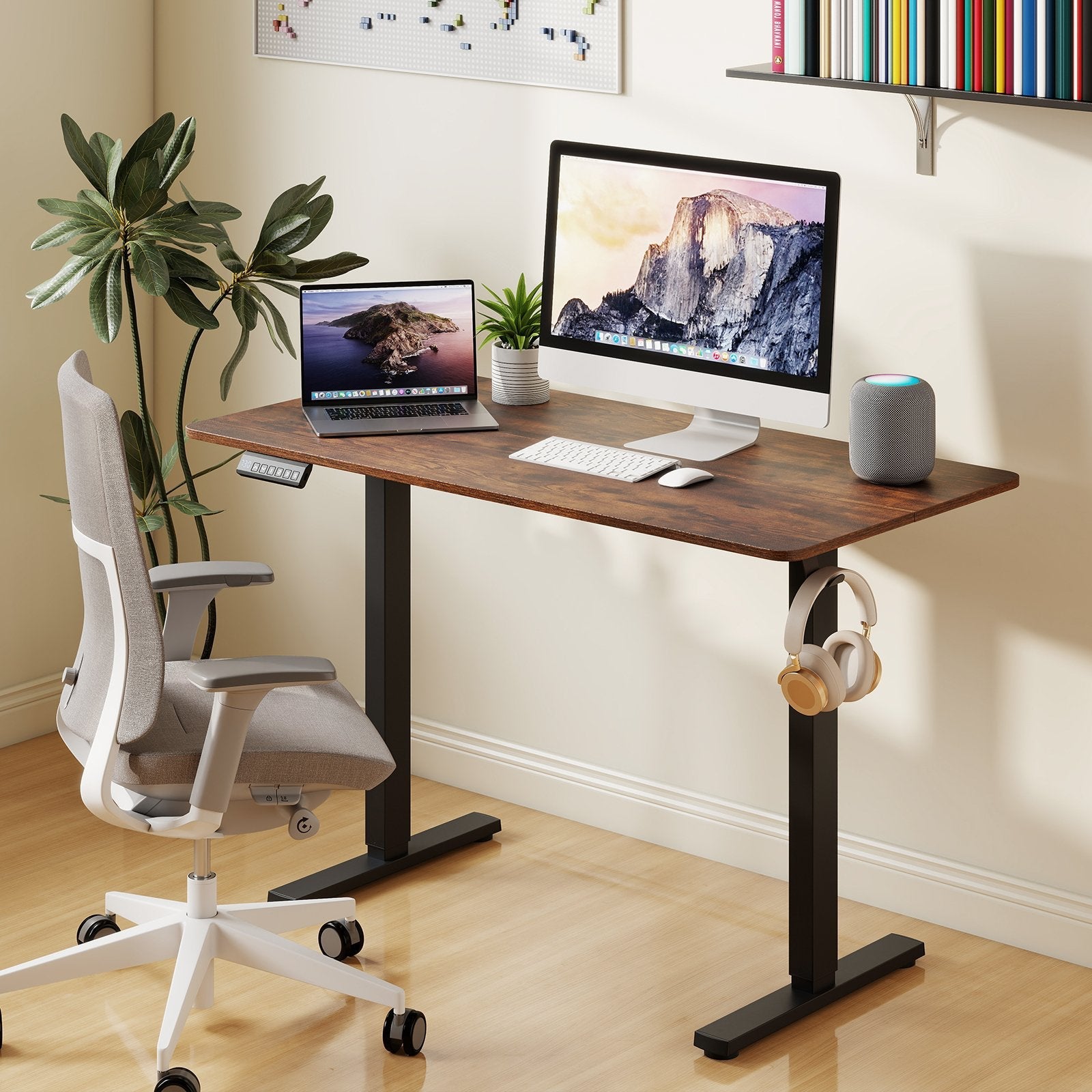 48 Inch x 24 Inch Ergonomic Electric Standing Desk with 3 Memory Settings for Home Office-Black