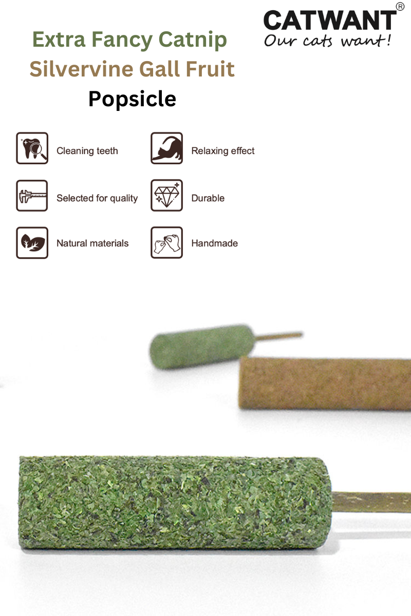 Silvervine Gall Fruit Popsicle