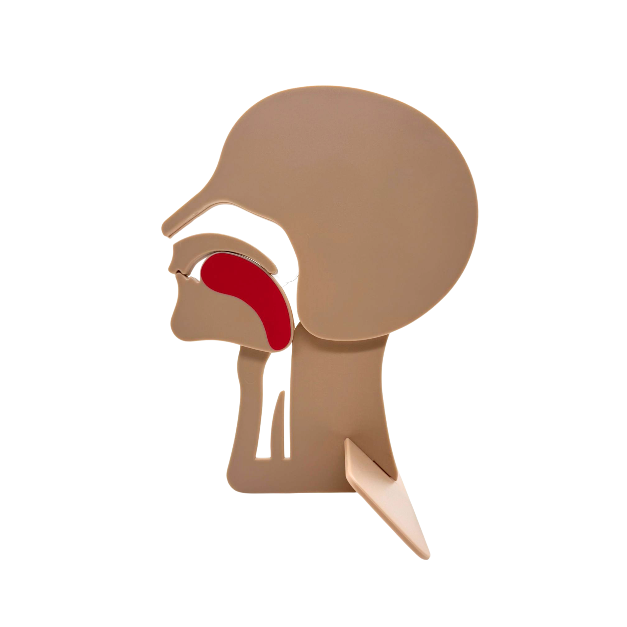 Airway Head Section Model & Training Device