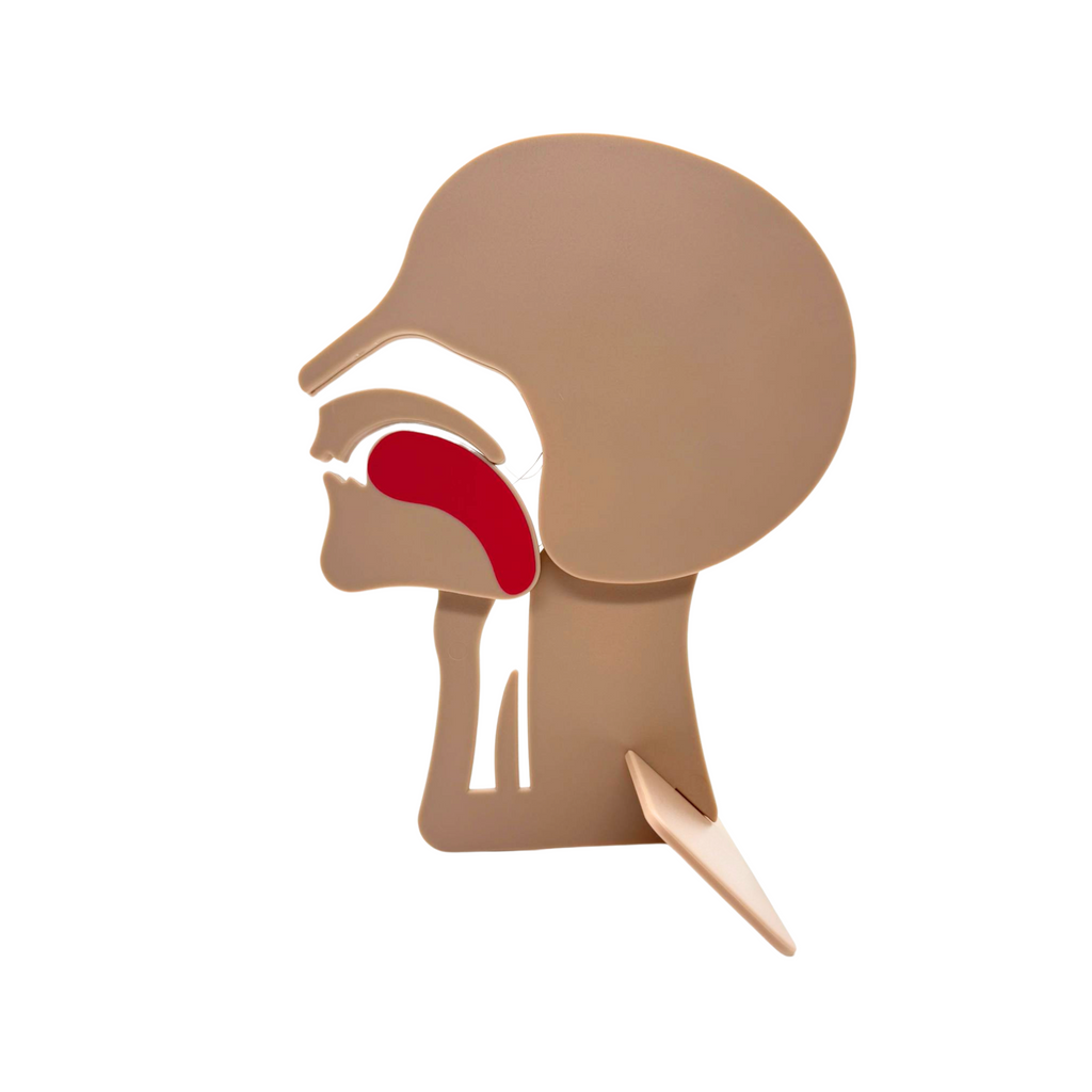 Airway Head Section Model & Training Device