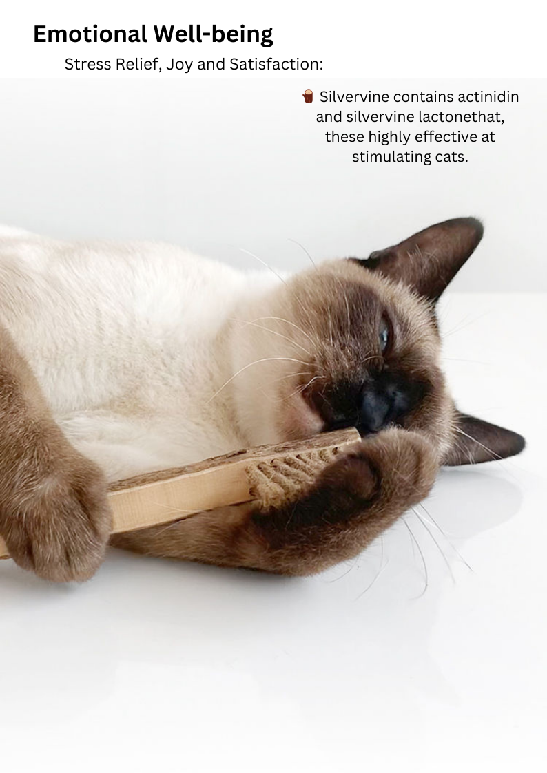 Silvervine Toothbrush