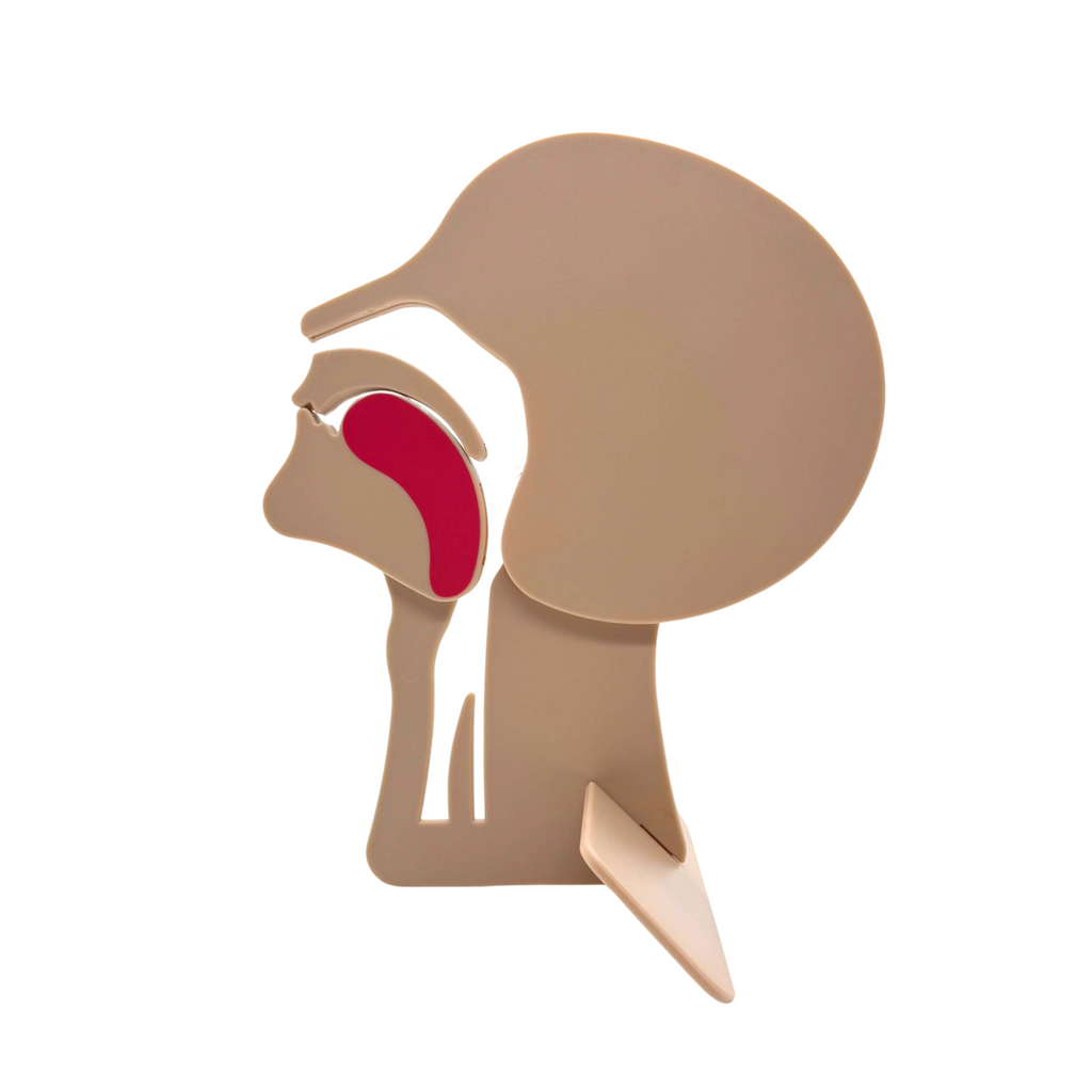 Airway Head Section Model & Training Device