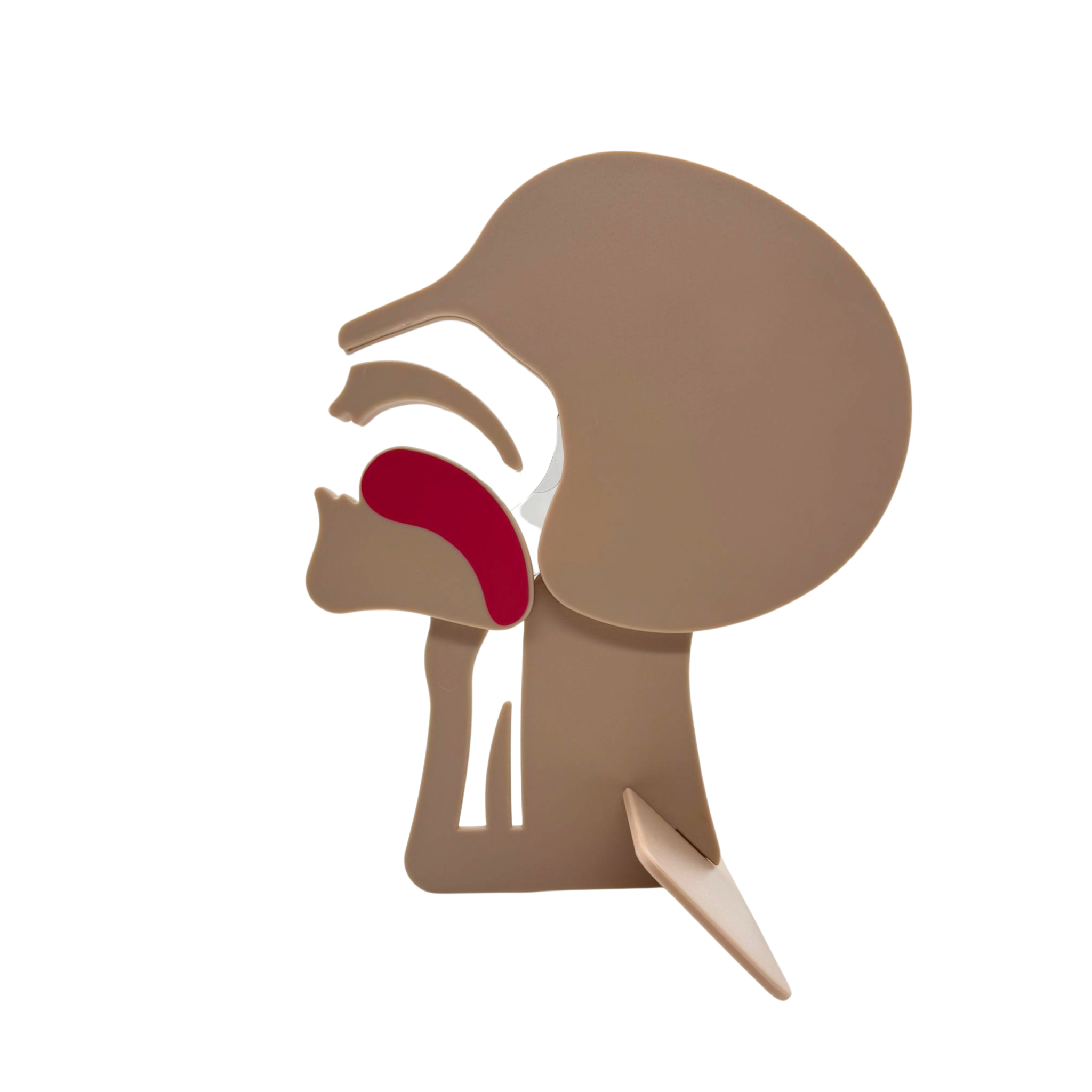 Airway Head Section Model & Training Device