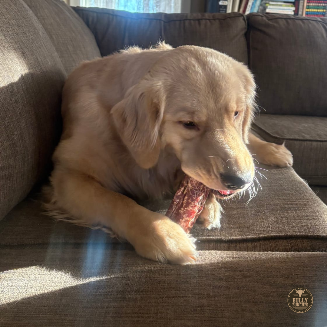 6 Inch Trachea Wrapped in Jerky