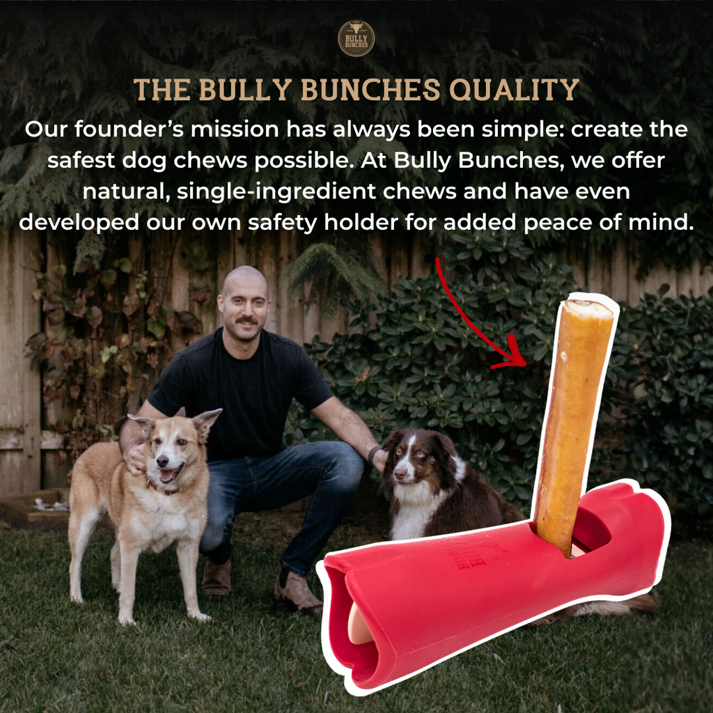 Bully Stick Safety Holder