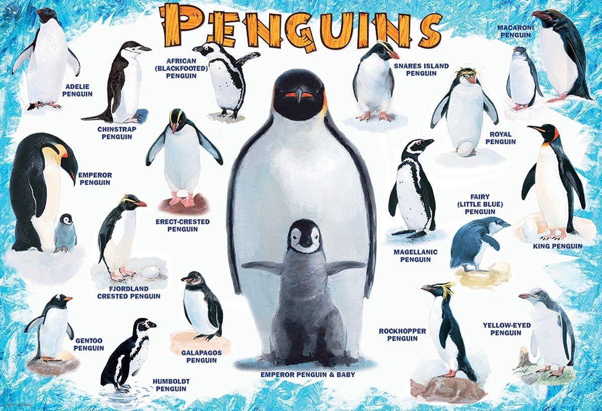 Eurographics Puzzles Canada - Penguins - Premium Quality