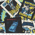 Batman Collection III - Multi Dynamic Duo Posters - 23200424-01