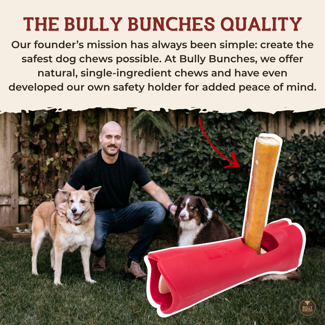 12 Inch Jumbo Braided Bully Stick