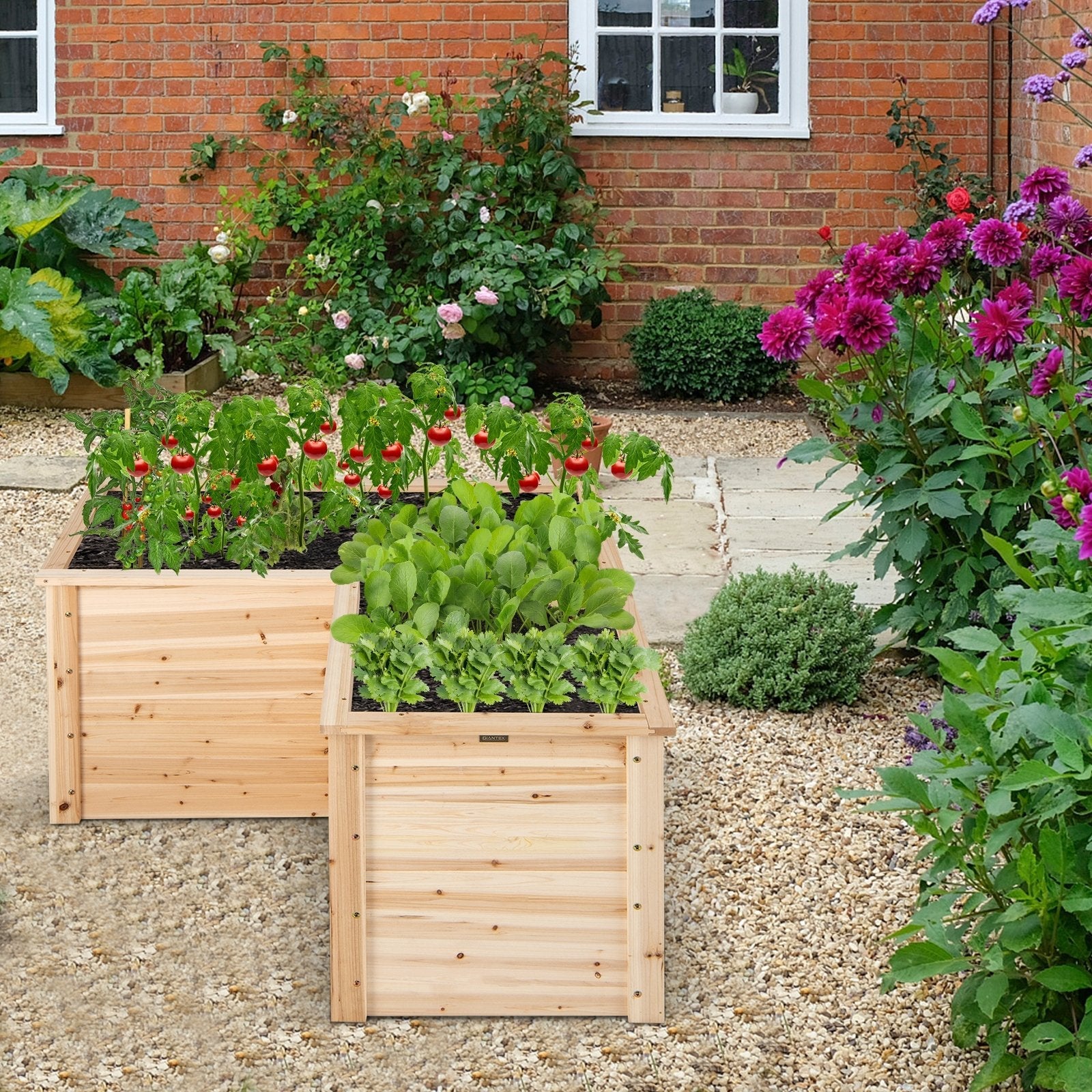 24 Inch L-Shaped Wooden Raised Garden Bed with Open-Ended Base-Natural