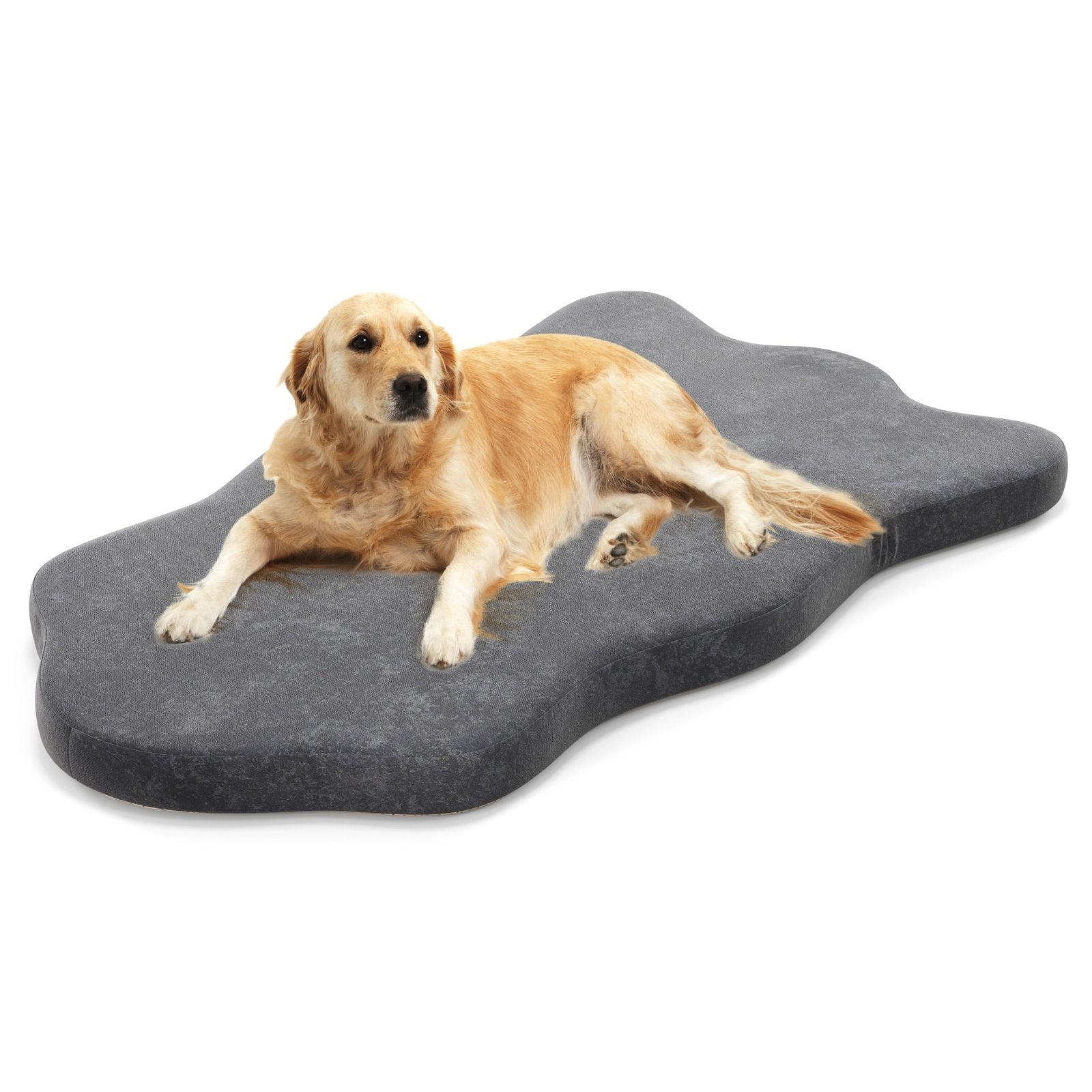 Orthopedic Dog Bed with Memory Foam Support for Large Dogs-Beige