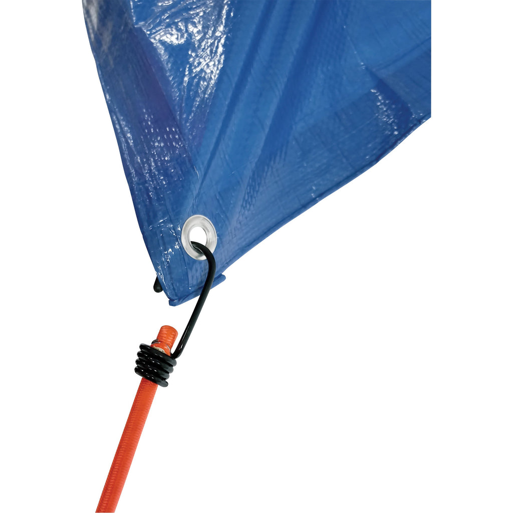 Bungee Cord Tie Downs, 30"