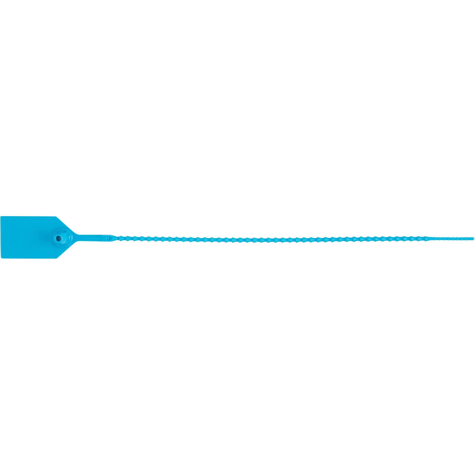 Standard-Duty Security Seal, 12", Plastic, Plastic Seal