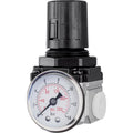 Air Regulator (Gauge Included)